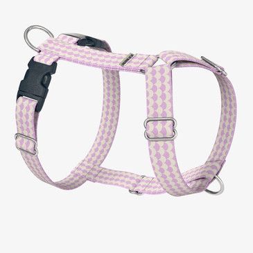 front view of harness front view of harness